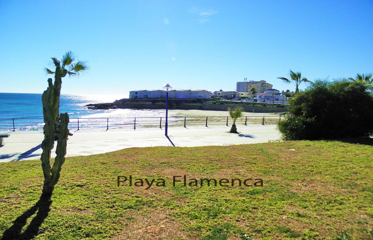 Apartment With Large Roof Solarium Dehesa de Campoamor  المظهر الخارجي الصورة