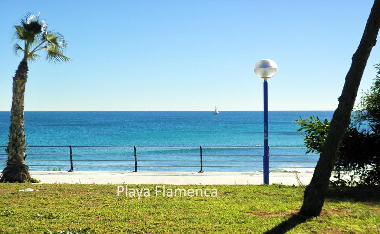 Apartment With Large Roof Solarium Dehesa de Campoamor  المظهر الخارجي الصورة